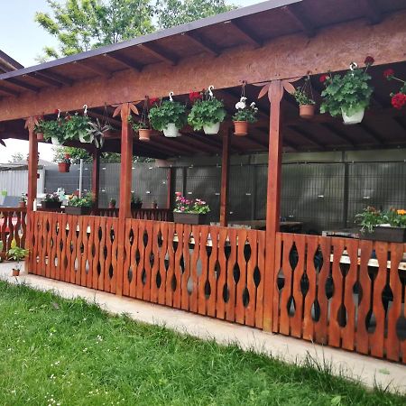 Vila Baciu Hotel Tuzla Kültér fotó