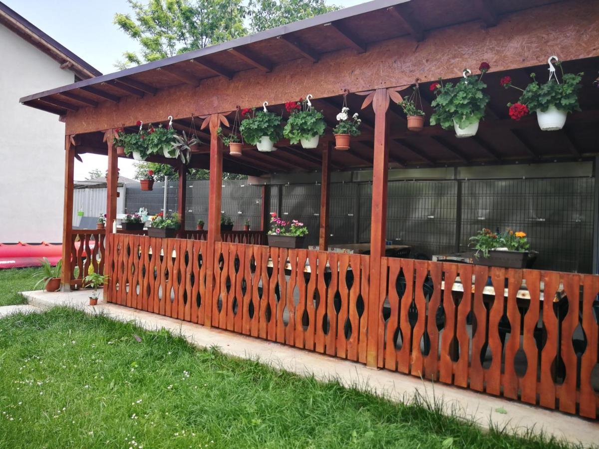 Vila Baciu Hotel Tuzla Kültér fotó