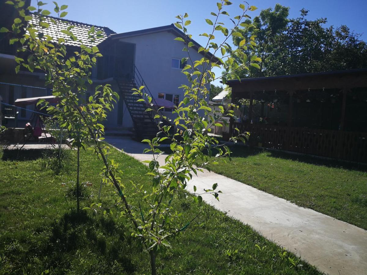 Vila Baciu Hotel Tuzla Kültér fotó