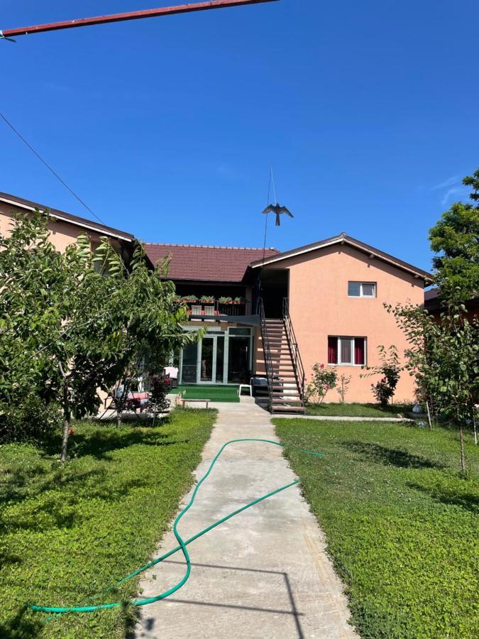 Vila Baciu Hotel Tuzla Kültér fotó